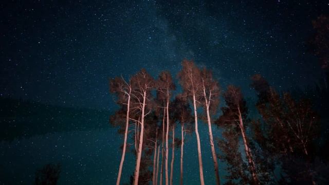 Картинки к выставке "Ты уходишь" смотреть онлайн