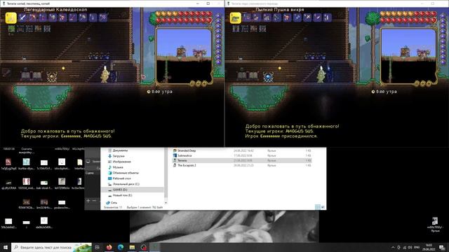 Как играть в террарию вдвоем на одном пк? смотреть онлайн