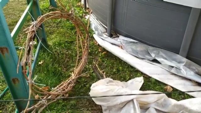 Укрытие винограда на зиму