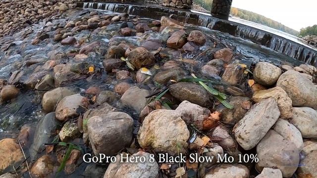 КАКАЯ КАМЕРА ЛУЧШЕ? GOPRO 8, GOPRO 4 SESSION, GOPRO 4 SILVER??? Сравнение камер и краткий обзор.