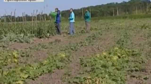 1 канал. Старообрядцы не хотят отдавать детей в школу смотреть онлайн