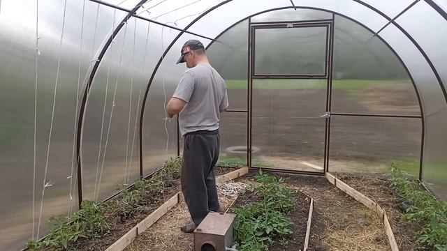 Подвязка огурцов ? и помидор ? В теплице из поликарбоната