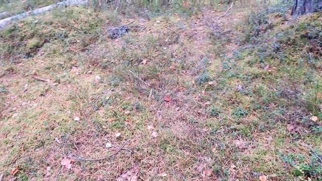 ПОКУПАЮ И ЧИТАЮ НЕЗНАКОМУЮ МНЕ КНИГУ/Бет О'Лири "Поменяться местами"/ Приятно удивлена? смотреть онлайн