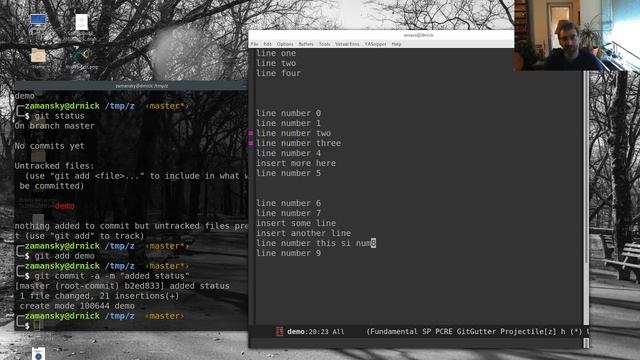 Using Emacs 42 - Git Gutter and Timemachine смотреть онлайн