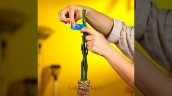 Useful Plant Growing Tips For Gardeners