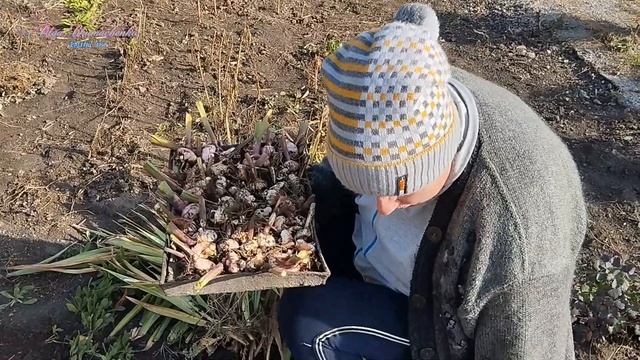 Ви тільки подивіться , знову Оля працює. смотреть онлайн