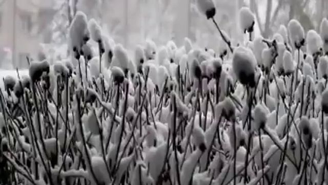 Al Quran Translation In Bengali 1 Of 30