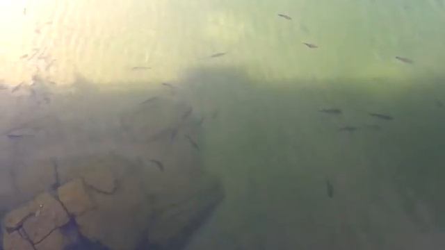 Водохранилище смотреть онлайн