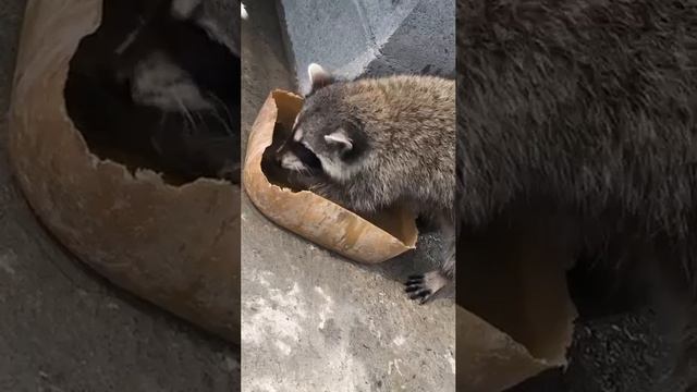 День зарплаты смотреть онлайн