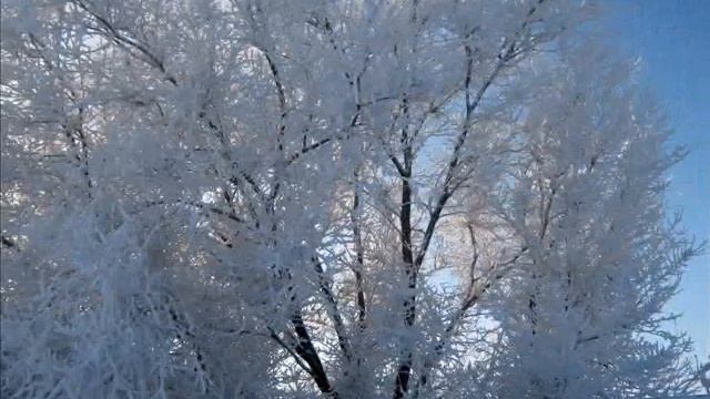 Природные зоны Саратовской области смотреть онлайн