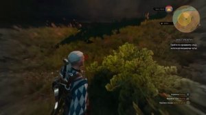 Ведьмак 3: Дикая Охота #11 - Где жена барона?