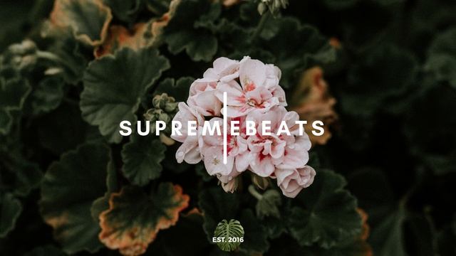 Sabrina Malheiros - Capoeira Vai (August Mae Flip) смотреть онлайн