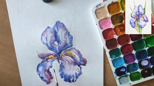 Как нарисовать цветок ирис // Short watercolor painting tutorial: iris смотреть онлайн