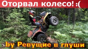 Оторвал колесо на квадроцикле, перевернулся сделал сальто, вроде жив.