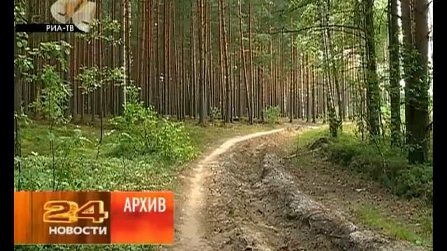 В Рыбинске и районе введён 5 класс пожароопасности смотреть онлайн