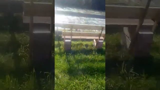 823569025722отдых на Бии....Усть Пыжа смотреть онлайн