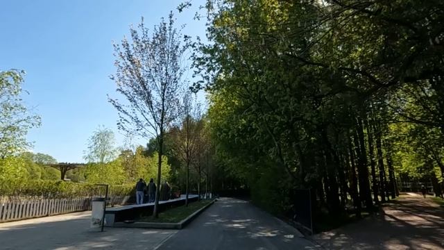 Отшельник спас малышей и в благодарность получил от них медальон… А открыв его дома, похолодел смотреть онлайн