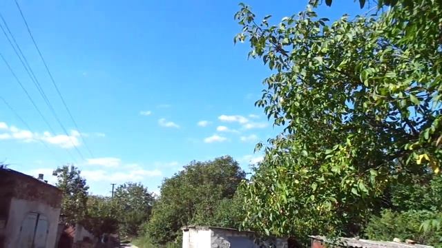 Орех "Идеал" - не идеал. О семенном размножении ореха грецкого. смотреть онлайн