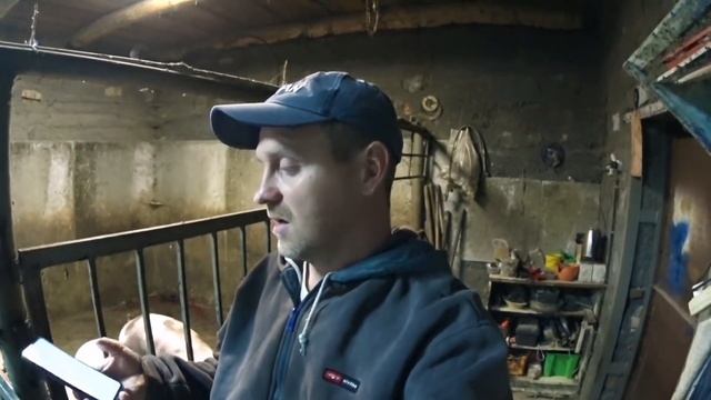 Сделал половину свинарника, залил бетонные полы / ответ почему у меня дорогие поросята смотреть онлайн