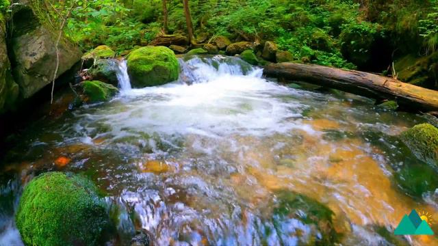 Serenity Stream 💦 Ultimate Relaxation and Meditation🧘♂️Ambient Birds, Water Sounds & Piano Music смотреть онлайн