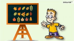 Растения. Части растения | Окружающий мир 1 класс #23 | Инфоурок