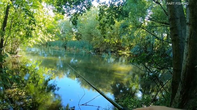 ВОБЛЕР ЗА КОПЕЙКИ ЧУДЕСА!!!Рыбалка на спиннинг с берега. смотреть онлайн