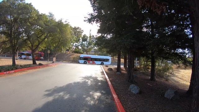 Программист про рейтинг Glassdoor и рекрутинг в Tesla США Калифорния смотреть онлайн