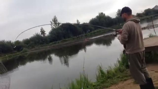 Стрелецкий Ручей 25/08- 1 смотреть онлайн