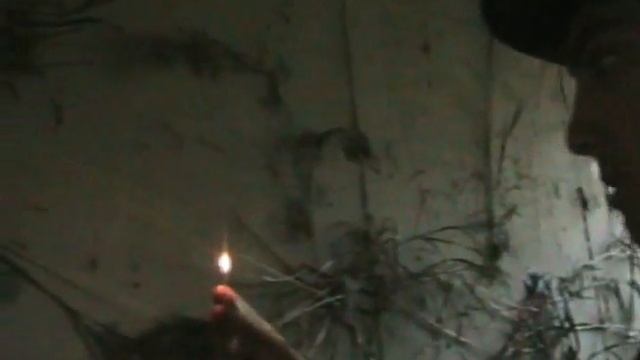 Indiana Jones and the Curse of the Idol смотреть онлайн