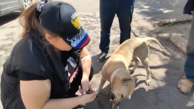 В память о Маше смотреть онлайн