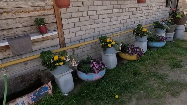 НЕ МОГУ СИДЕТЬ БЕЗ ДЕЛА.... смотреть онлайн