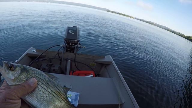 Fishing For White Bass With Live Bait смотреть онлайн