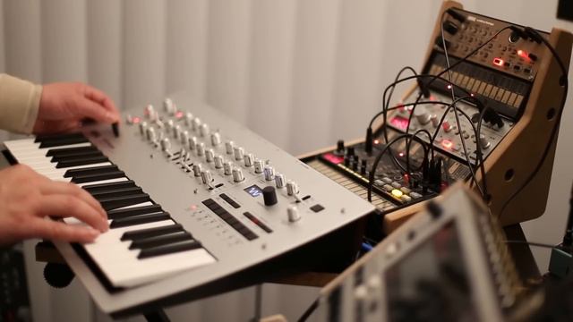 The Metro (Berlin) Minilogue + Volca Beats + Volca Keys demo смотреть онлайн