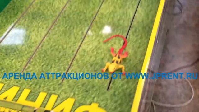 www.jprent.ru аттракцион "скачки настольные" смотреть онлайн