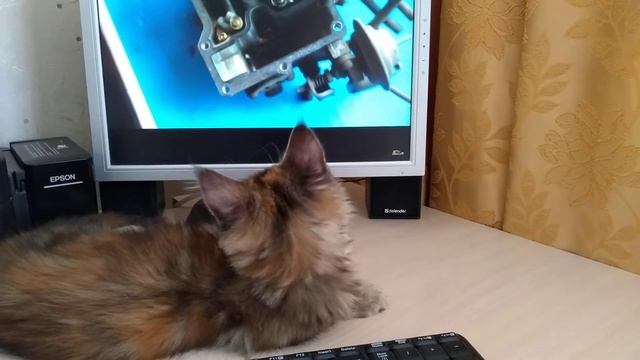 Смотрим про японский карбюратор)))