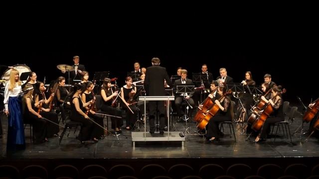 Фрагмент из музыкальной сказки с оркестром Петя и волк 1 смотреть онлайн