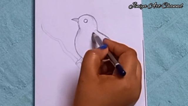 | Bird drawing with pencil sketch | realistic bird sketch | #birddrawingeasy #birddrawing #art смотреть онлайн