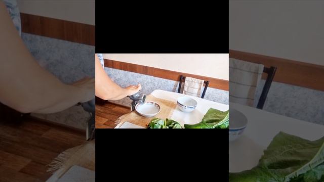 ЛОПУХ.ТҮЙЕ ЖАПЫРАҚ.ДЕНСАУЛЫҚҚА ӨТЕ ПАЙДАЛЫ КӨРІҢІЗДЕР. смотреть онлайн