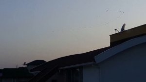 Краткий обзор отеля Alaiye Kleopatra 4*.  Шведский стол в марте 2020 года. #Alaiye #Turkey #отпуск