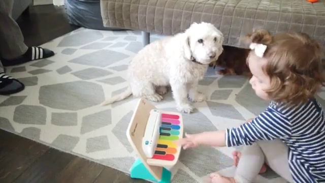 TOYS FOR KIDS - HAPE PIANO BABY EINSTEIN - MUST HAVE FOR TODDLERS, MUSICAL TOYS. #toys #babypiano смотреть онлайн