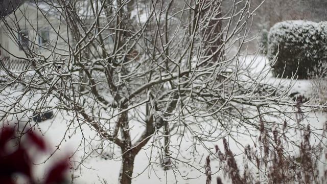 A Medium Format Video - Sony A7 + Kipon Baveyes Mamiya645 смотреть онлайн