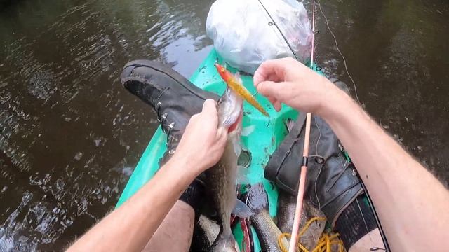 July 28th , 2023 ? #bass #fishing #kayak (3) смотреть онлайн