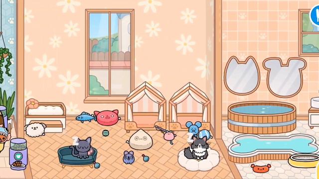 новое домашнее животное 😳🙌🏻💞