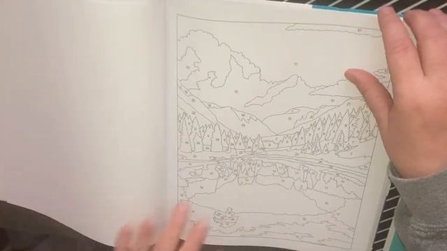 Large Print Calm Color By Number Coloring Book Flip Through And Review