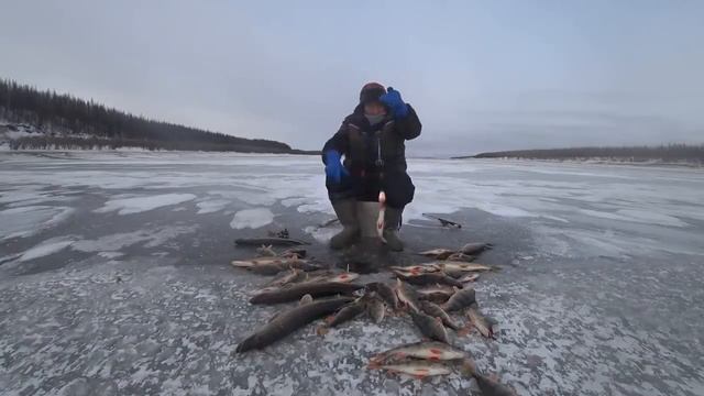 Перволёдка 2019! Yakutia Якутия