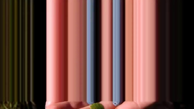 ОСЕНЬ ВЕЛЬМОЖНАЯ