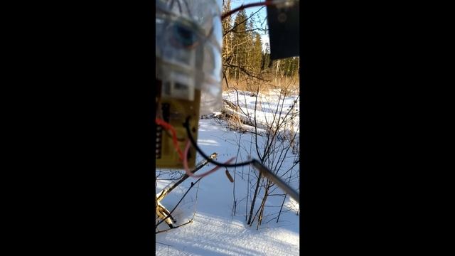 Техобслуживание лесного маячка R2DNN/B смотреть онлайн