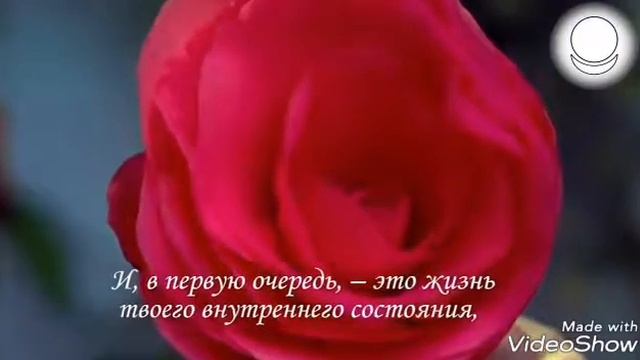 А может надо жизнь любить смотреть онлайн