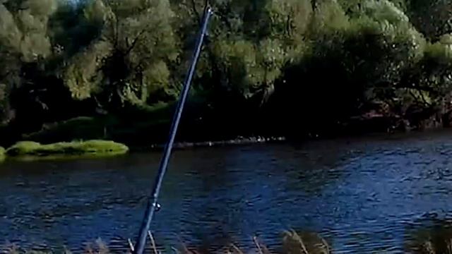 Щука на живца, Реальная рыбалка с Фоксом. смотреть онлайн