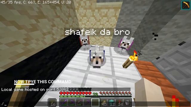 how to fix pet not standing up in minecraft 1.17 смотреть онлайн